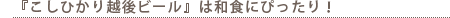 『こしひかり越後ビール』に合う料理