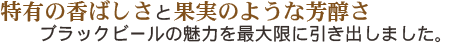 特有の香ばしさと果実のような芳醇さブラックビールの魅力を最大限に引き出しました。