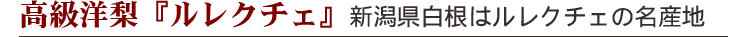 高級洋梨「ルレクチェ」新潟県白根はルレクチェの名産地