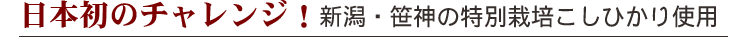 日本初のチャレンジ!新潟・笹神の特別栽培こしひかり使用